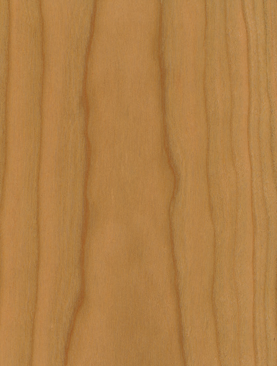 W&uuml;rmseher Oberfläche Echtholz furniert 52 Kirschbaum | Cherry, natur (amerikanisch)