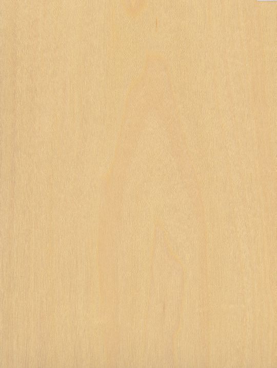 W&uuml;rmseher Oberfläche Echtholz furniert 66 Maple (Amerikanischer-Ahorn)